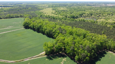 Prime 364-Acre Hunting Land with Creek & ATV Trails! - image 14