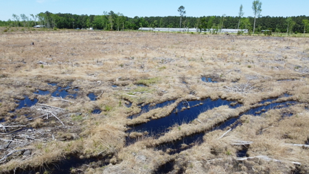 Prime 364-Acre Hunting Land with Creek & ATV Trails! - image 11