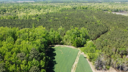 Prime 364-Acre Hunting Land with Creek & ATV Trails! - image 10