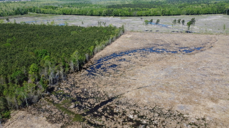 Prime 364-Acre Hunting Land with Creek & ATV Trails! - image 7