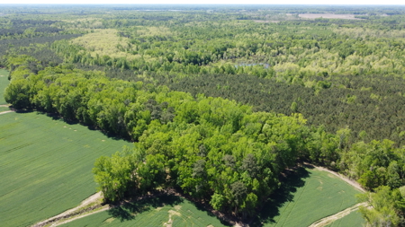 Prime 364-Acre Hunting Land with Creek & ATV Trails! - image 18