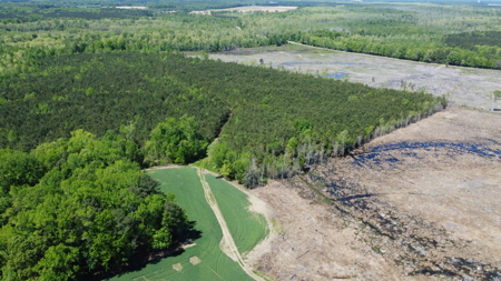 Prime 364-Acre Hunting Land with Creek & ATV Trails! - image 34