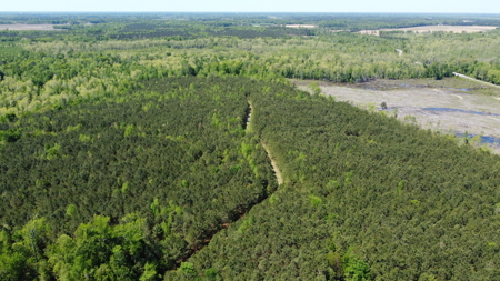 Prime 364-Acre Hunting Land with Creek & ATV Trails! - image 15