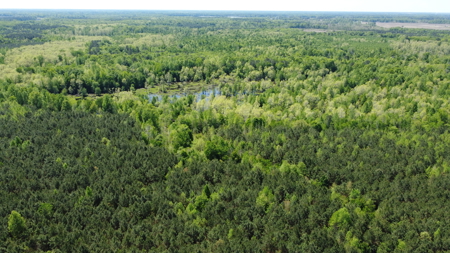 Prime 364-Acre Hunting Land with Creek & ATV Trails! - image 22