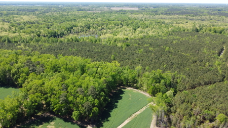 Prime 364-Acre Hunting Land with Creek & ATV Trails! - image 13