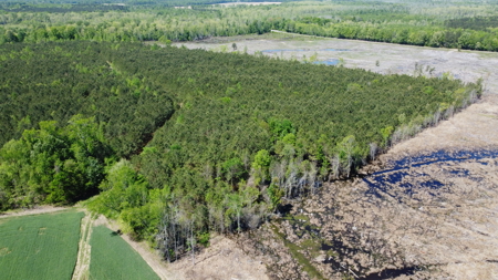 Prime 364-Acre Hunting Land with Creek & ATV Trails! - image 42
