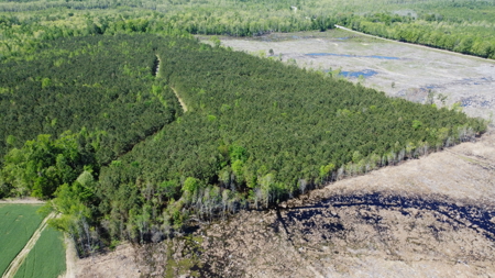 Prime 364-Acre Hunting Land with Creek & ATV Trails! - image 43