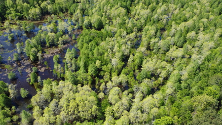 Prime 364-Acre Hunting Land with Creek & ATV Trails! - image 23
