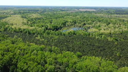 Prime 364-Acre Hunting Land with Creek & ATV Trails! - image 29