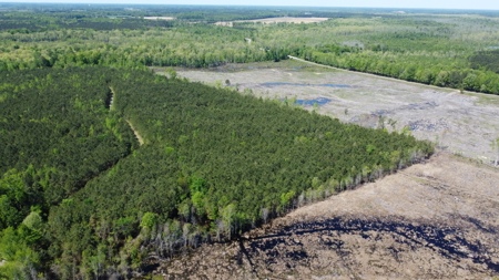 Prime 364-Acre Hunting Land with Creek & ATV Trails! - image 12