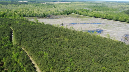 Prime 364-Acre Hunting Land with Creek & ATV Trails! - image 44