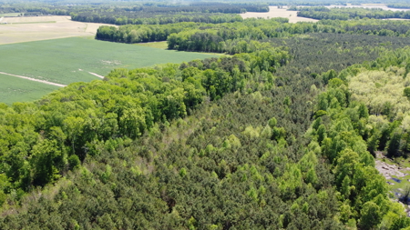 Prime 364-Acre Hunting Land with Creek & ATV Trails! - image 45