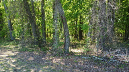 Prime 364-Acre Hunting Land with Creek & ATV Trails! - image 47