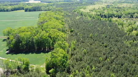 Prime 364-Acre Hunting Land with Creek & ATV Trails! - image 20
