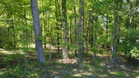 Prime 364-Acre Hunting Land with Creek & ATV Trails! - image 50