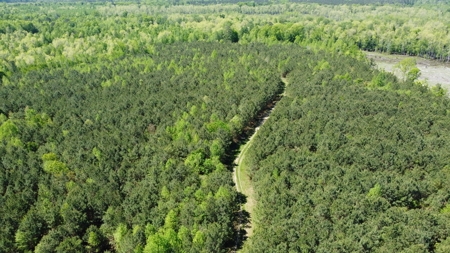 Prime 364-Acre Hunting Land with Creek & ATV Trails! - image 19