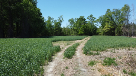 Prime 364-Acre Hunting Land with Creek & ATV Trails! - image 33