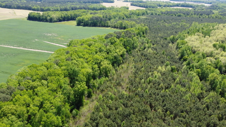 Prime 364-Acre Hunting Land with Creek & ATV Trails! - image 48