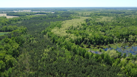 Prime 364-Acre Hunting Land with Creek & ATV Trails! - image 27