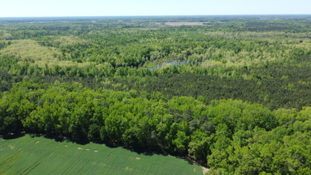 Prime 364-Acre Hunting Land with Creek & ATV Trails! - image 30