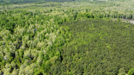 Prime 364-Acre Hunting Land with Creek & ATV Trails! - image 28