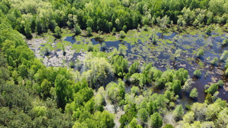 Prime 364-Acre Hunting Land with Creek & ATV Trails! - image 24