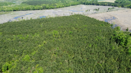 Prime 364-Acre Hunting Land with Creek & ATV Trails! - image 46