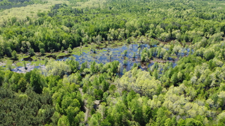Prime 364-Acre Hunting Land with Creek & ATV Trails! - image 21