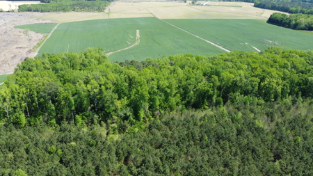 Prime 364-Acre Hunting Land with Creek & ATV Trails! - image 26