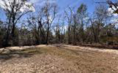 Country Home For Sale in Hamilton County, FL - image 6