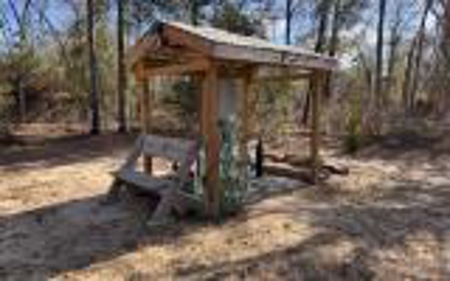Country Home For Sale in Hamilton County, FL - image 8