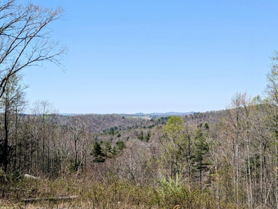 Country Home for Sale in Laurel Fork VA - image 24