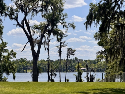 Lake Home with Attached Garage For Sale in Jennings, FL - image 48
