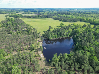 Twin Pine Ranch, An Exceptional East Texas Ranch Property - image 20
