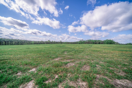 Twin Pine Ranch, An Exceptional East Texas Ranch Property - image 14