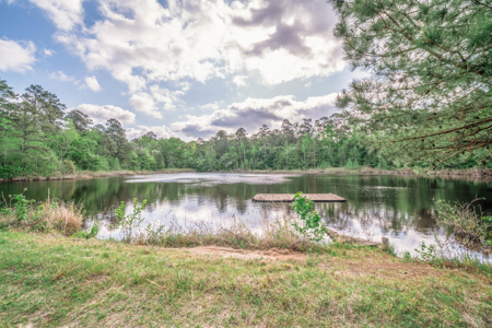 Twin Pine Ranch, An Exceptional East Texas Ranch Property - image 6