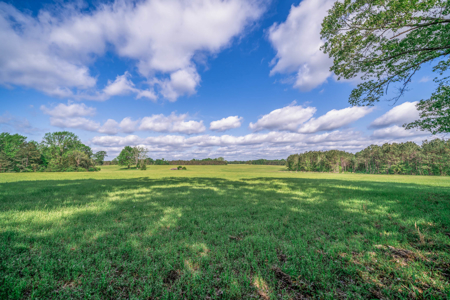 Twin Pine Ranch, An Exceptional East Texas Ranch Property - image 5