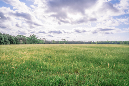 Twin Pine Ranch, An Exceptional East Texas Ranch Property - image 2
