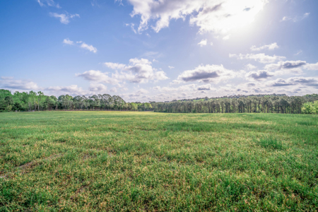 Twin Pine Ranch, An Exceptional East Texas Ranch Property - image 15