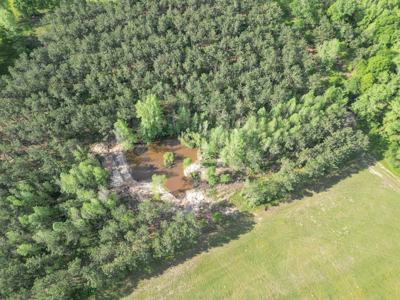 Twin Pine Ranch, An Exceptional East Texas Ranch Property - image 13