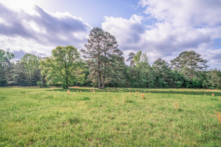 Twin Pine Ranch, An Exceptional East Texas Ranch Property - image 8