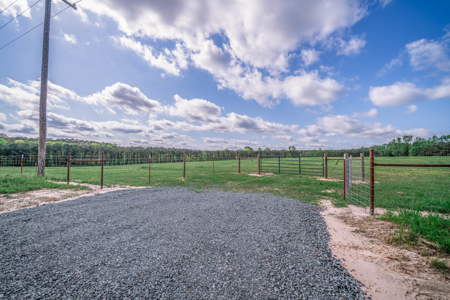 Twin Pine Ranch, An Exceptional East Texas Ranch Property - image 4