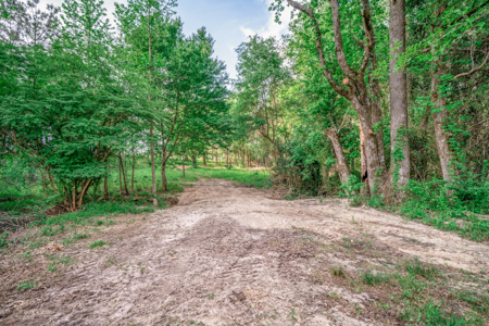 Twin Pine Ranch, An Exceptional East Texas Ranch Property - image 9