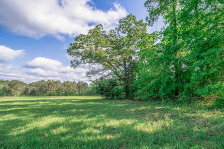 Twin Pine Ranch, An Exceptional East Texas Ranch Property - image 19