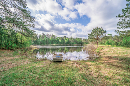 Twin Pine Ranch, An Exceptional East Texas Ranch Property - image 7