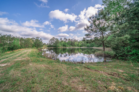 Twin Pine Ranch, An Exceptional East Texas Ranch Property - image 16