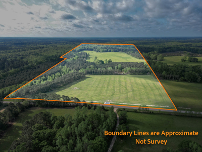 Twin Pine Ranch, An Exceptional East Texas Ranch Property - image 3