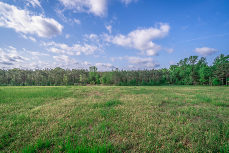 Twin Pine Ranch, An Exceptional East Texas Ranch Property - image 10