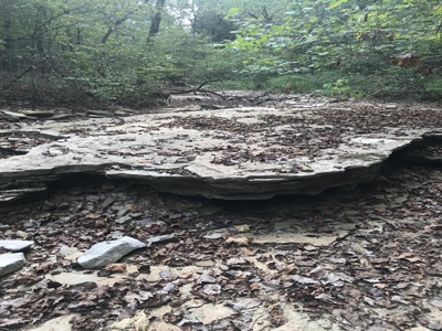 Off Pavement And Off Grid At End Of Road - image 6