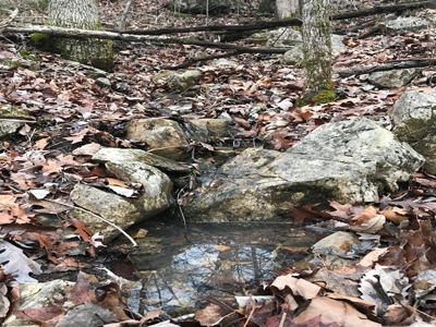 Off Pavement And Off Grid At End Of Road - image 5